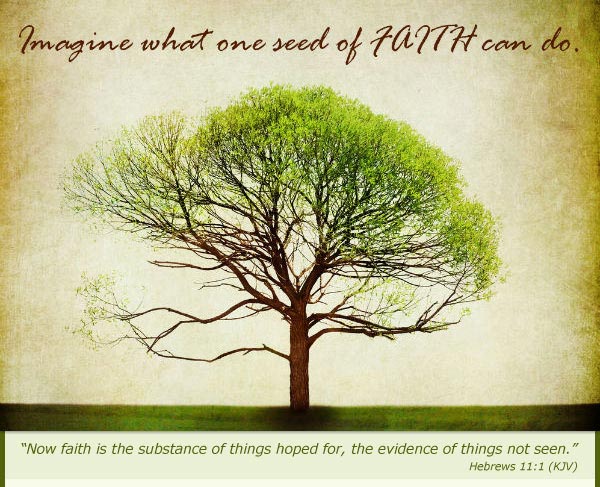 Imagine what one seed of faith can do!  Get your free self publishing guide.