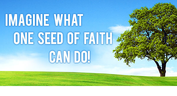 Imagine what one seed of faith can do.  Click for your publishing guide.